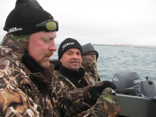 Alaska Sea Duck Hunts — photograph from the Gunners Taxidermy gallery