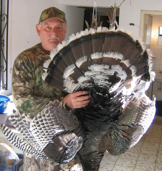 Gould's Turkey Hunts — photograph from the Gunners Taxidermy gallery