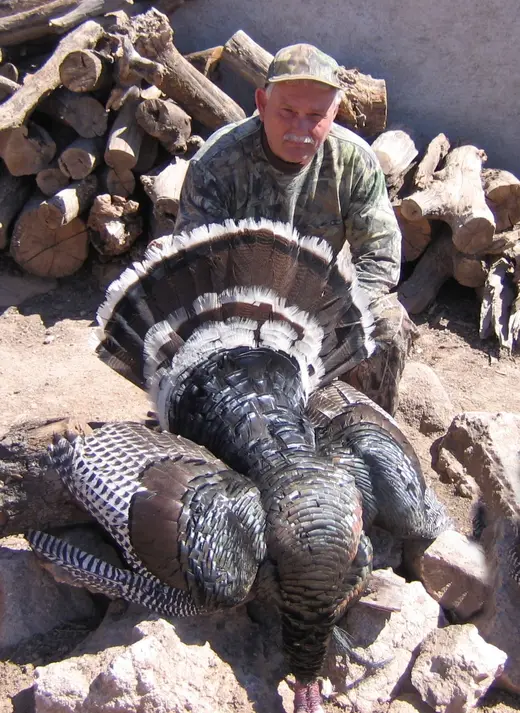 Gould's Turkey Hunts — photograph from the Gunners Taxidermy gallery