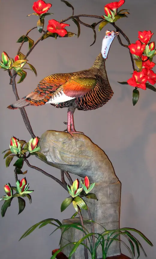 Turkey Taxidermy — photograph from the Gunners Taxidermy gallery