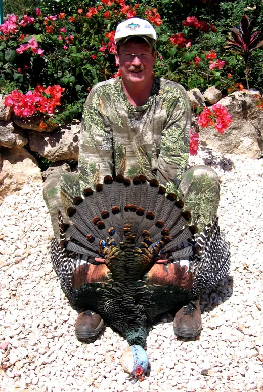 Ocellated Turkey Hunts — photograph from the Gunners Taxidermy gallery